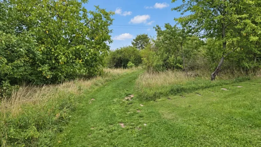 Prodej louky, Nový Jáchymov, 4579 m2