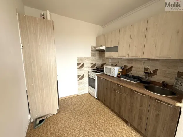 Pronájem bytu 1+kk, Most, Lidická, 32 m2