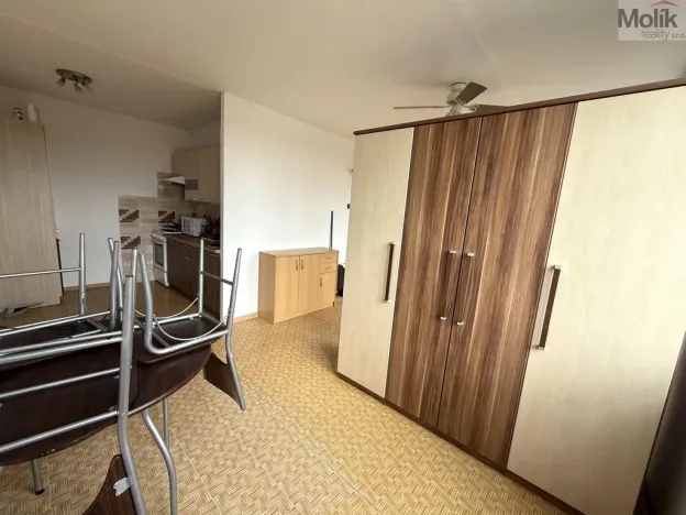Pronájem bytu 1+kk, Most, Lidická, 32 m2