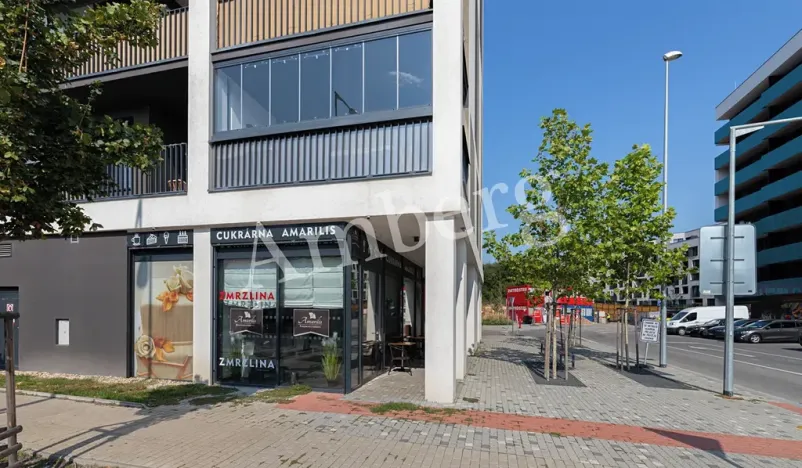 Pronájem bytu 3+kk, Praha - Žižkov, Olgy Havlové, 84 m2