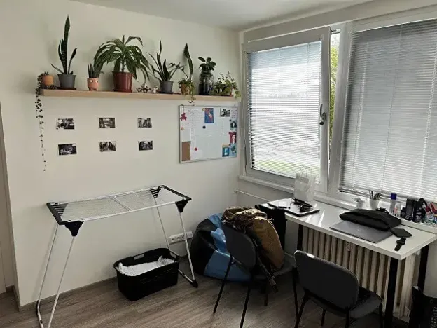 Pronájem bytu 1+1, Hradec Králové, Hradecká, 30 m2