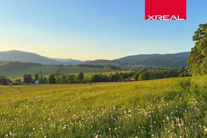 Prodej pozemku pro bydlení, Mladé Buky, 115000 m2
