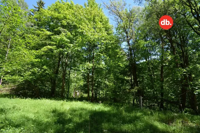 Prodej pozemku, Merklín, 3609 m2