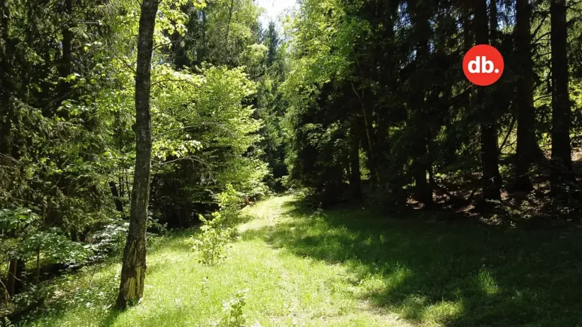 Prodej pozemku, Merklín, 3609 m2