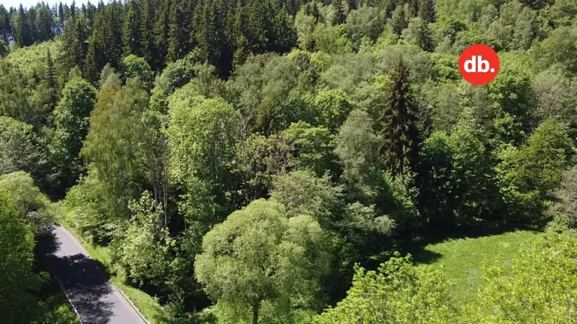 Prodej pozemku, Merklín, 3609 m2