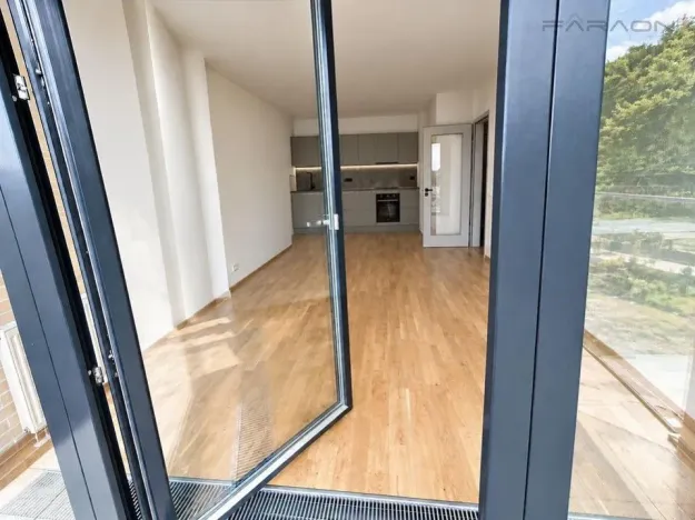 Pronájem bytu 2+kk, Praha - Karlín, Švarcova, 55 m2