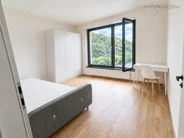 Pronájem bytu 2+kk, Praha - Karlín, Švarcova, 56 m2
