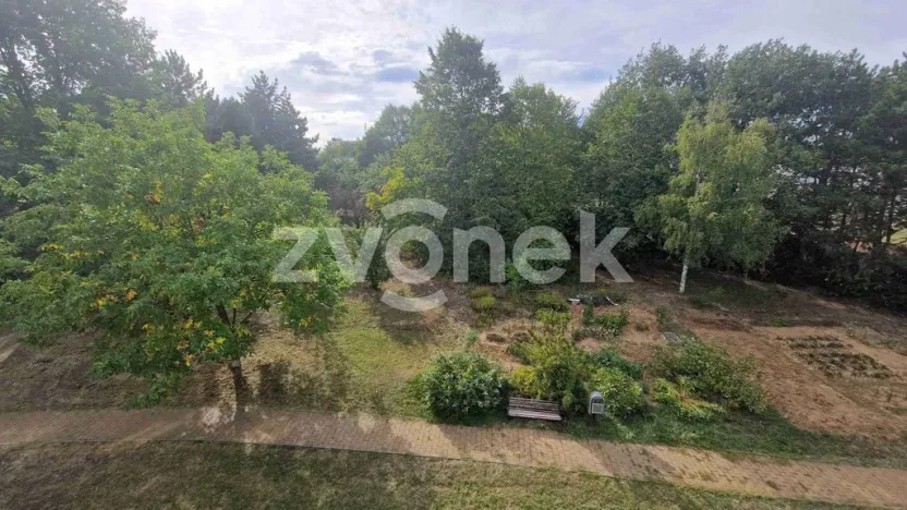 Pronájem bytu 2+1, Staré Město, Kopánky, 55 m2