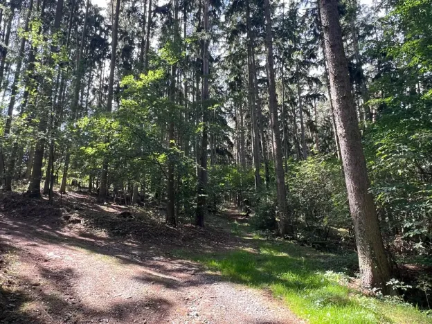 Prodej chalupy, Probulov, 90 m2