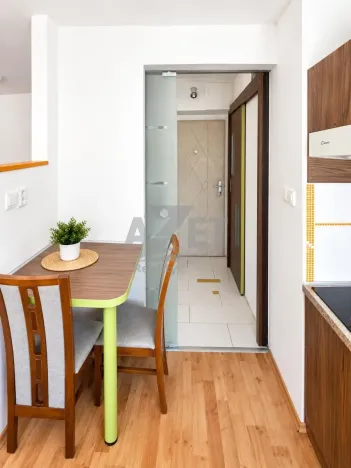 Prodej bytu 1+kk, Ostrava - Zábřeh, Čujkovova, 28 m2