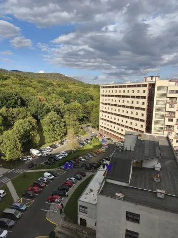 Prodej bytu 1+kk, Litvínov, 26 m2