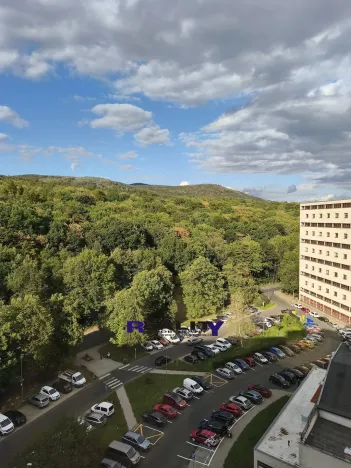 Prodej bytu 1+kk, Litvínov, 26 m2
