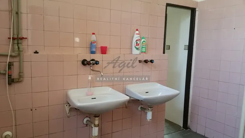 Pronájem výrobních prostor, Česká, 270 m2