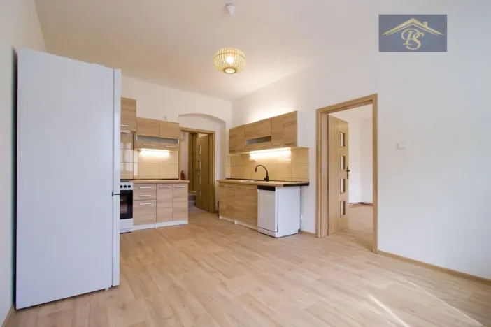 Pronájem bytu 1+1, Ústí nad Labem - Neštěmice, Železná, 57 m2
