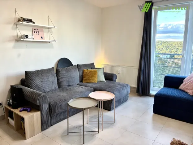 Pronájem bytu 2+1, Brno, Vondrákova, 60 m2