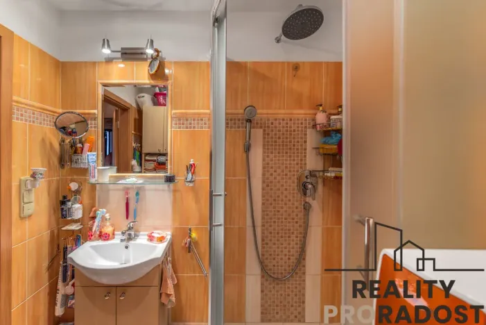 Prodej bytu 3+kk, Praha, Štichova, 56 m2