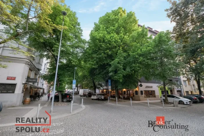 Prodej bytu 2+1, Praha - Bubeneč, V. P. Čkalova, 51 m2