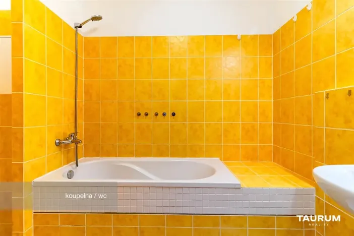 Prodej bytu 3+kk, Plzeň - Východní Předměstí, Květná, 69 m2