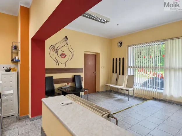 Pronájem obchodního prostoru, Krupka, Poštovní, 39 m2