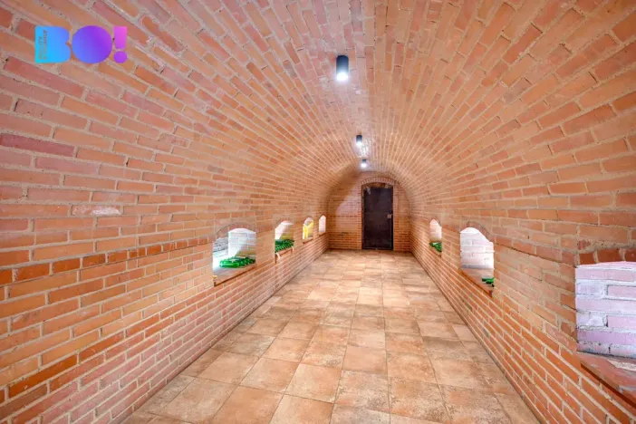 Prodej vinného sklepa, Dyjákovice, 180 m2
