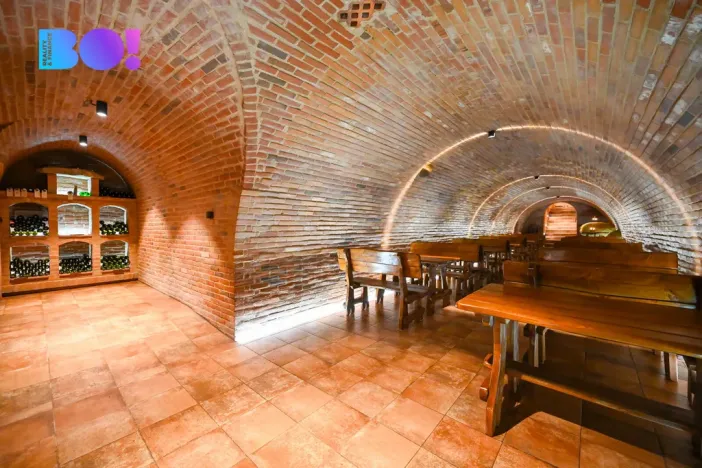 Prodej vinného sklepa, Dyjákovice, 180 m2