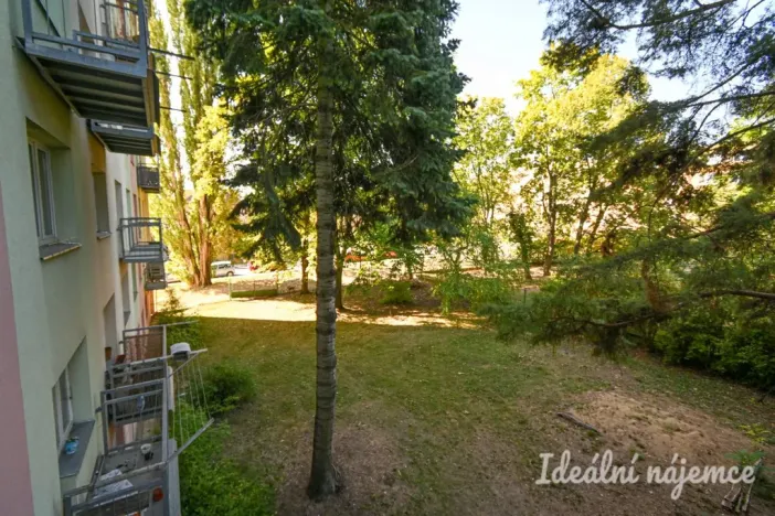 Pronájem bytu 2+1, Brno, Jílová, 54 m2