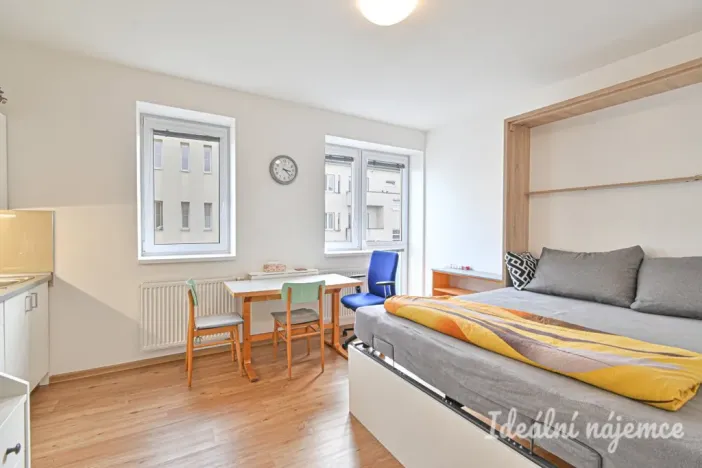 Pronájem bytu 1+kk, Brno, Hostinského, 25 m2