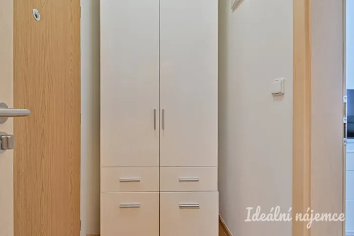 Pronájem bytu 1+kk, Brno, Hostinského, 25 m2