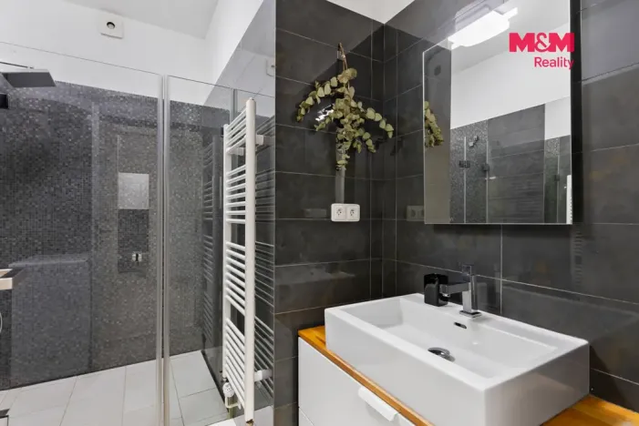 Prodej bytu 2+kk, Praha - Žižkov, Bořivojova, 54 m2