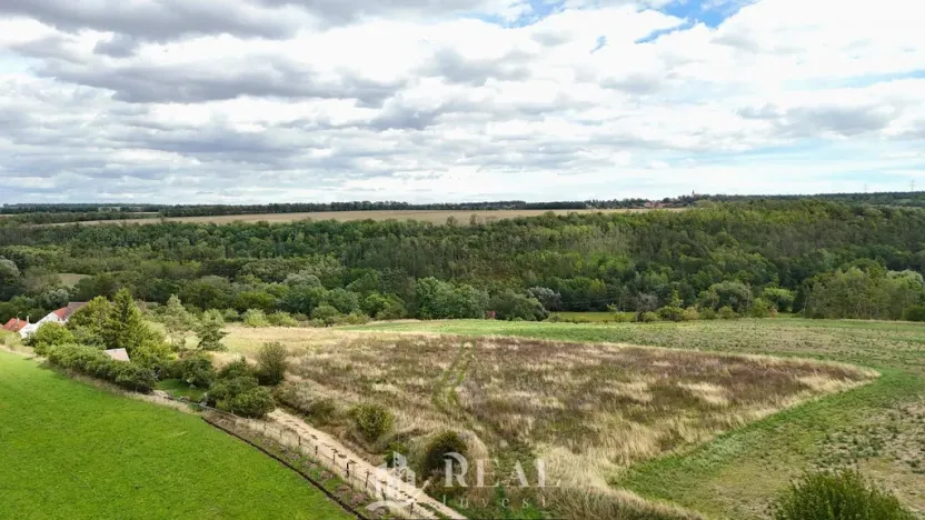 Prodej pozemku pro bydlení, Brloh, 1196 m2