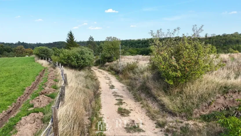 Prodej pozemku pro bydlení, Brloh, 1196 m2