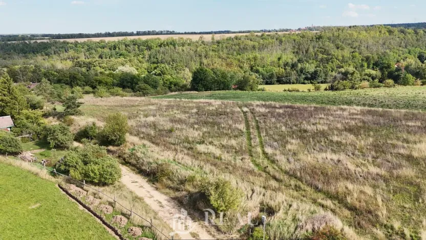 Prodej pozemku pro bydlení, Brloh, 1196 m2