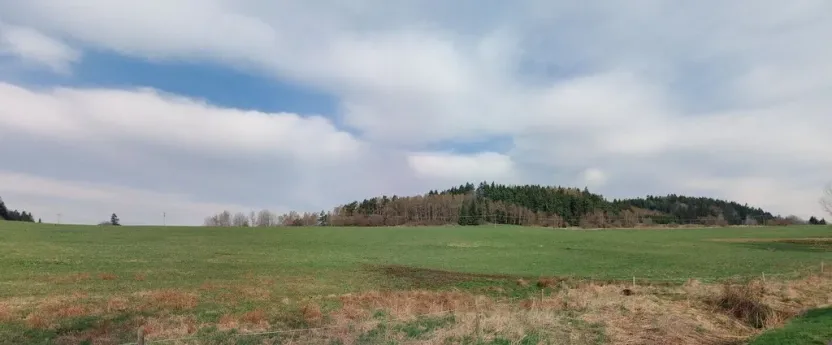 Prodej pozemku, Horní Planá - Žlábek, 47764 m2