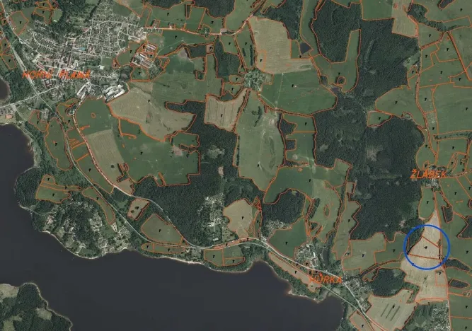 Prodej pozemku, Horní Planá - Žlábek, 47764 m2