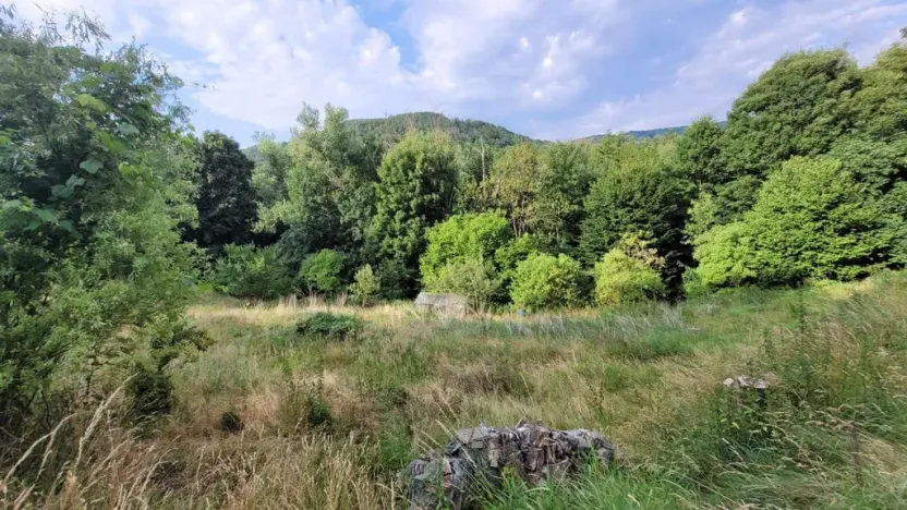 Prodej chaty, Malečov - Horní Zálezly, 16 m2