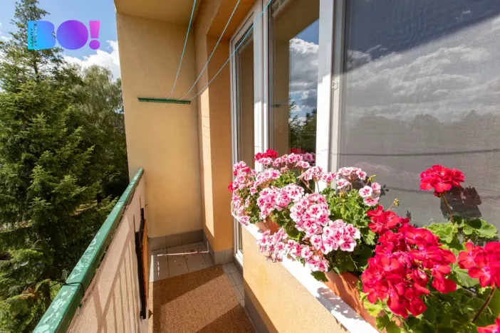Prodej bytu 4+kk, Havířov, Okrajová, 74 m2