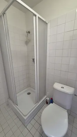 Pronájem bytu 1+1, Praha - Vinohrady, Vinohradská, 49 m2