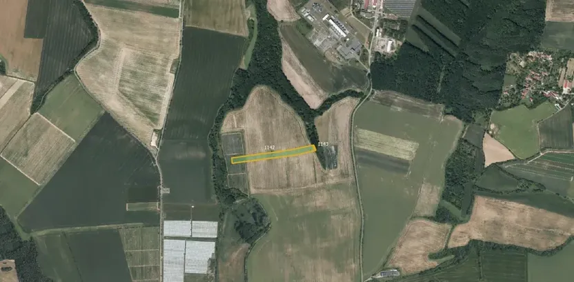 Prodej sadu/vinice, Vitice, 7390 m2