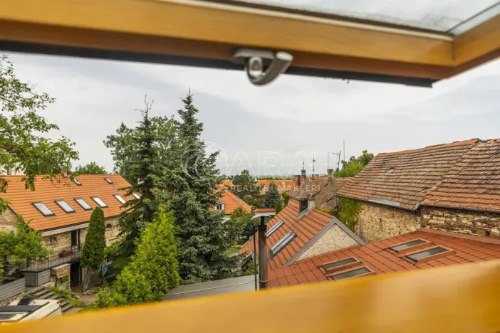Pronájem komerční nemovitosti, Praha - Ďáblice, Na terase, 470 m2