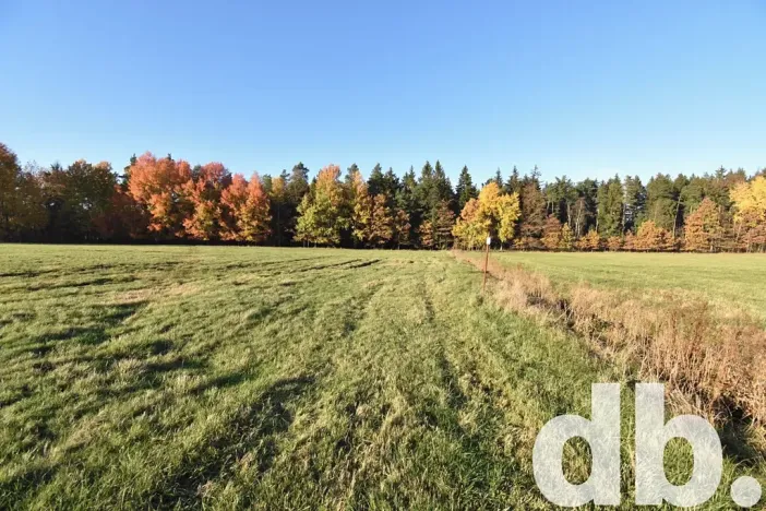 Prodej pozemku pro bydlení, Nová Role, 43224 m2