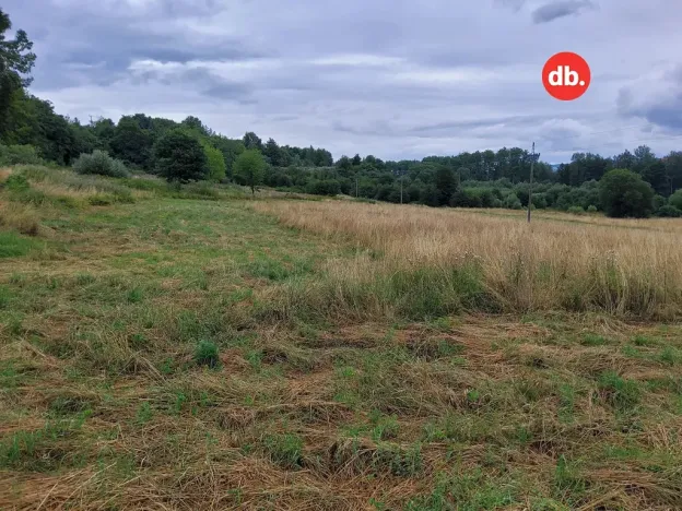Prodej pozemku pro bydlení, Citice, 10671 m2