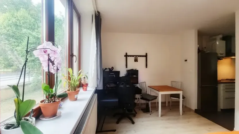 Pronájem bytu 1+kk, Brno, Gallašova, 28 m2