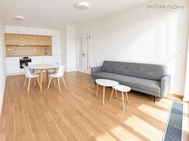 Pronájem bytu 2+kk, Praha - Karlín, Švarcova, 55 m2