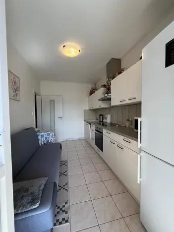 Prodej bytu 1+1, Karlovy Vary, Spálená, 50 m2