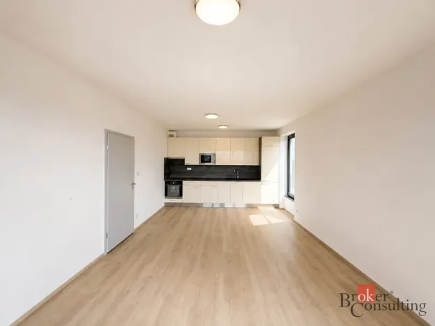 Pronájem bytu 2+kk, Plzeň - Jižní Předměstí, Železná, 57 m2