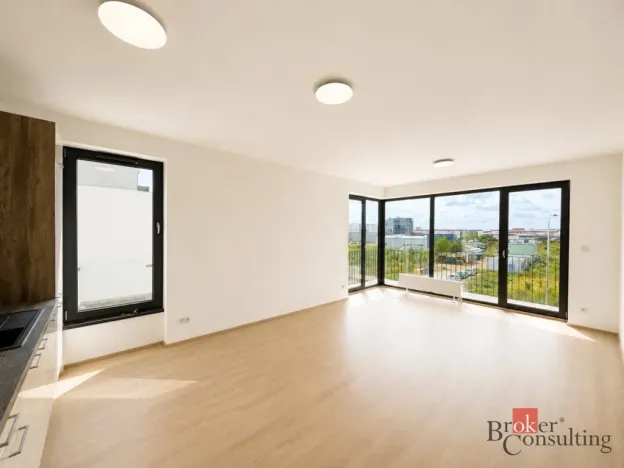 Pronájem bytu 2+kk, Plzeň - Jižní Předměstí, Železná, 57 m2