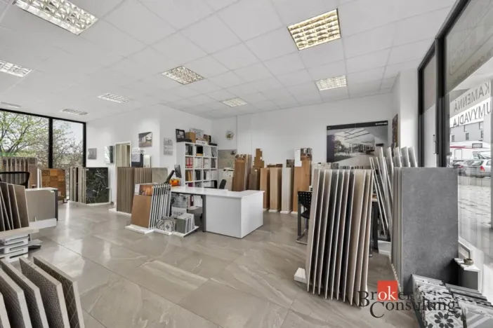 Pronájem obchodního prostoru, Plzeň - Černice, Vltavínová, 66 m2