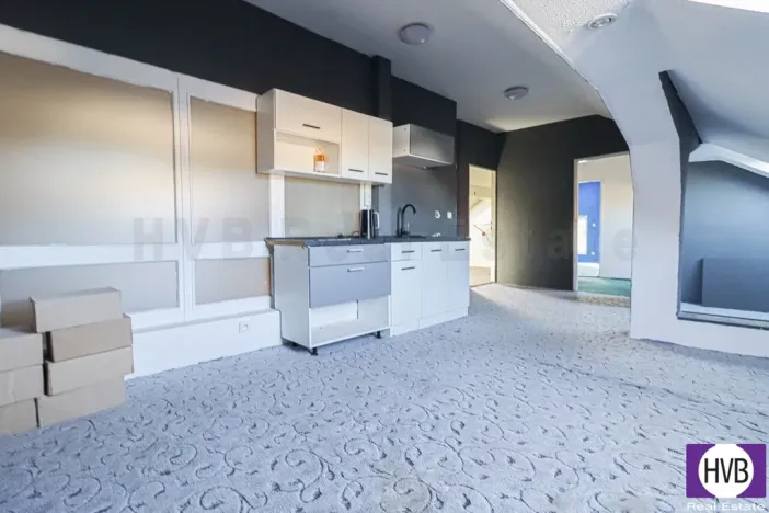 Prodej obchodního prostoru, Ostrava - Mariánské Hory, Daliborova, 642 m2
