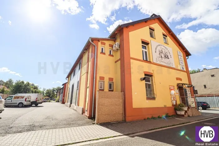 Prodej obchodního prostoru, Ostrava - Mariánské Hory, Daliborova, 642 m2
