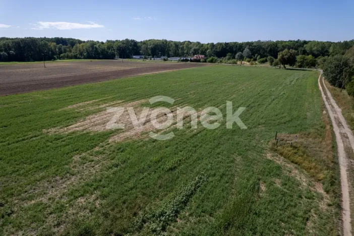 Prodej komerčního pozemku, Chropyně - Plešovec, 12000 m2